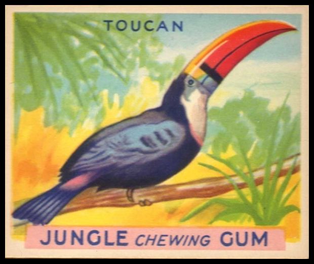 41 Toucan